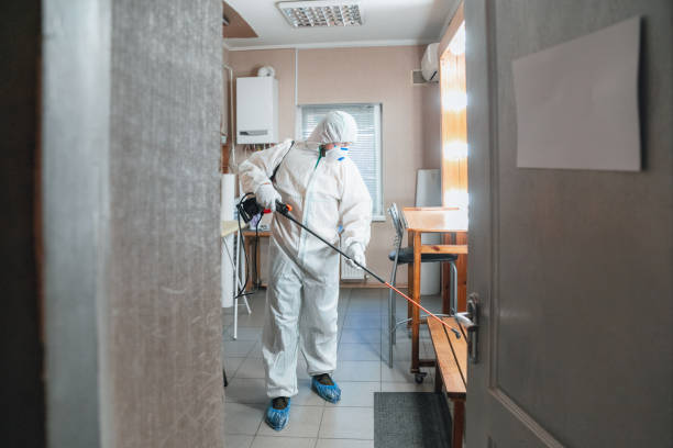 Point Lookout, NY Mold Removal Company