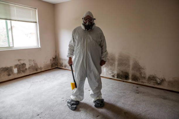 Best HVAC Mold Inspection and Cleaning  in Point Lookout, NY